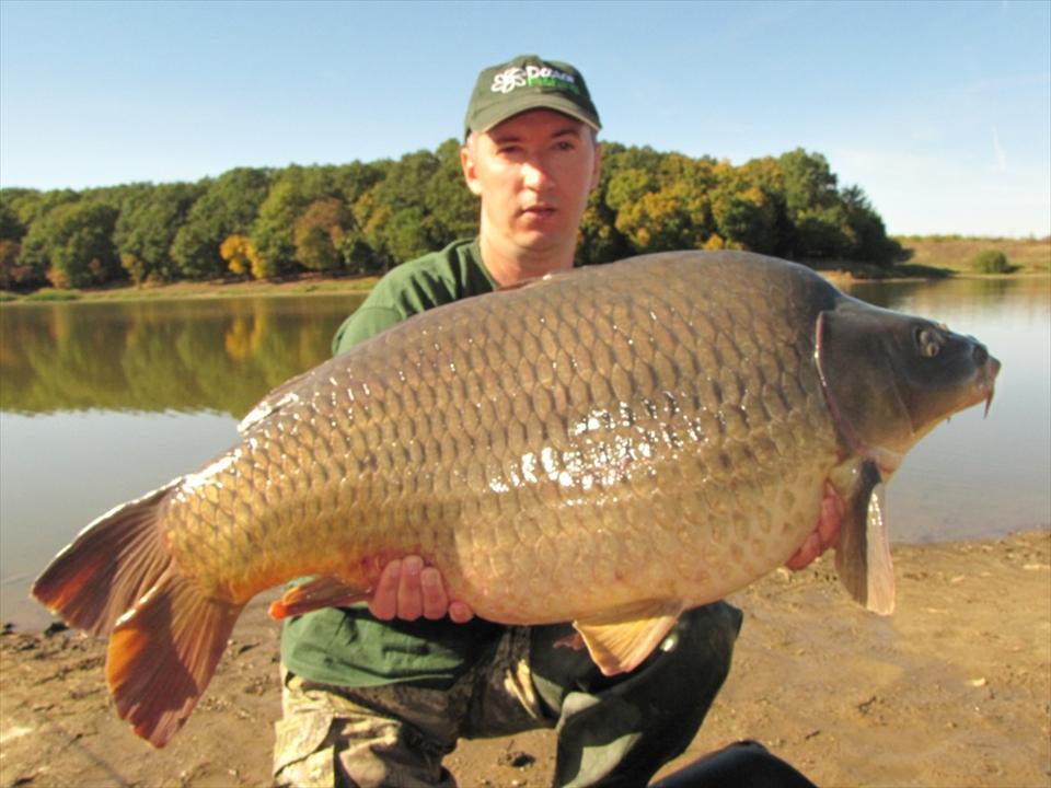 Noua gama de la Sticky Baits prinde bine pe Sisterea - Oradea